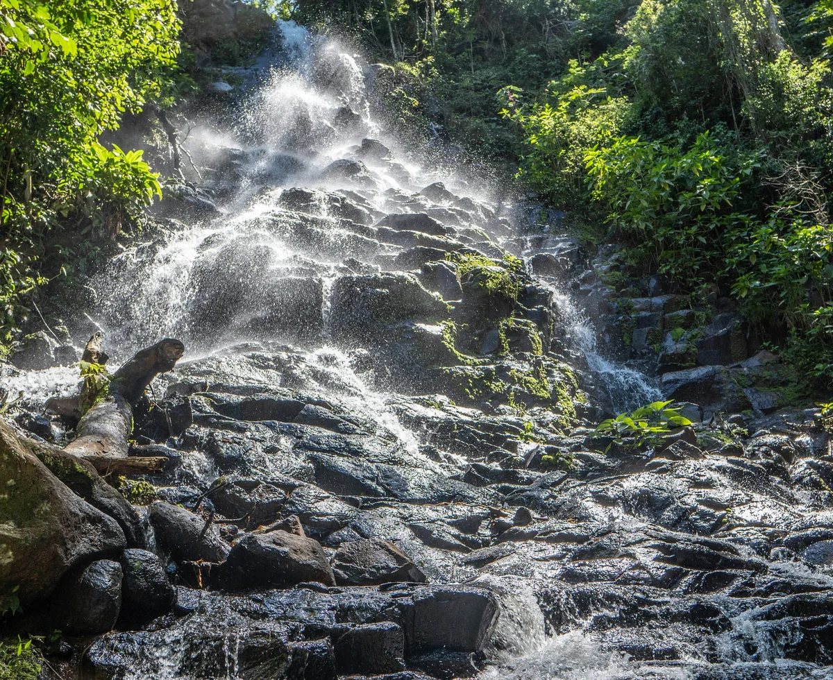 Bosque y agua en la reserva de Mbaracayú, Paraguay